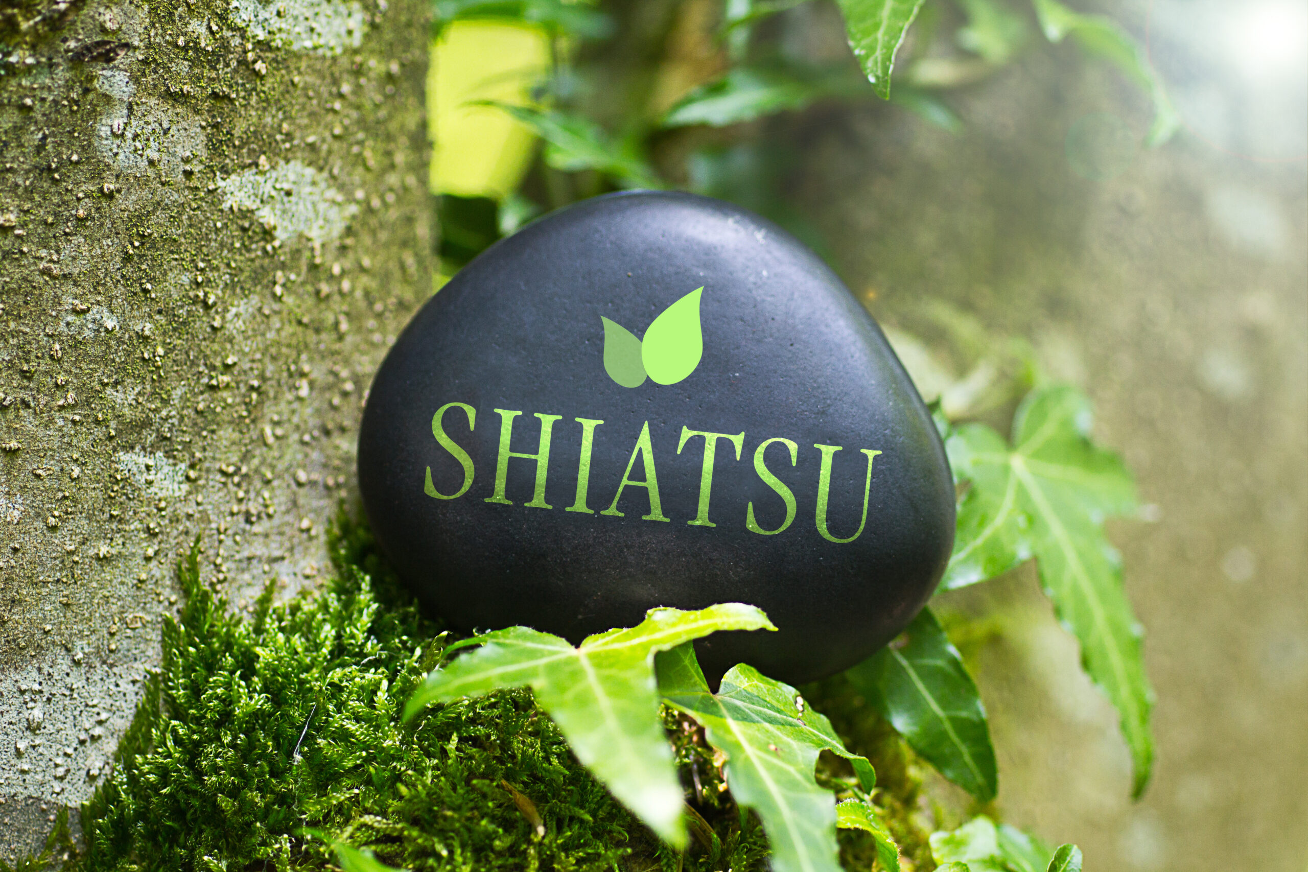 The,Word,"shiatsu",On,A,Stone,In,Nature